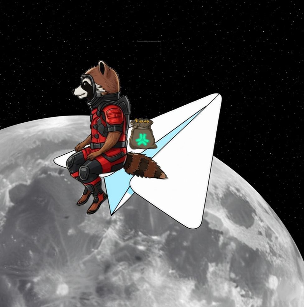 Illustration of RacCoin mascot character